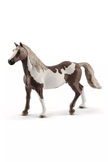 Ko� Paint Gelding