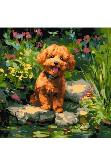 Ideyka Malowanie po numerach - Pudel nad stawem 40x40cm