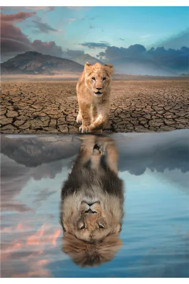 Puzzle 300 el. Super Self Reflection Clementoni