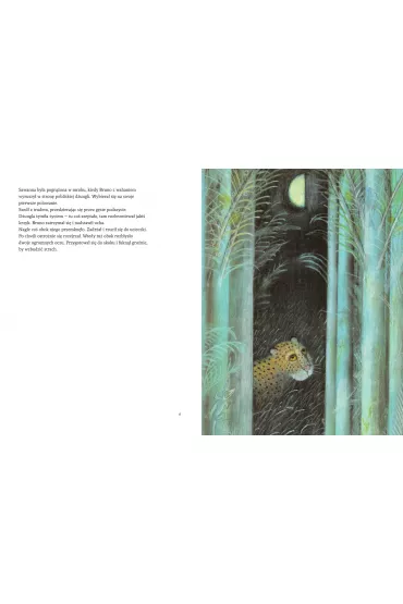 Leopantera - J�zef Wilko�, Piotr Wilko�