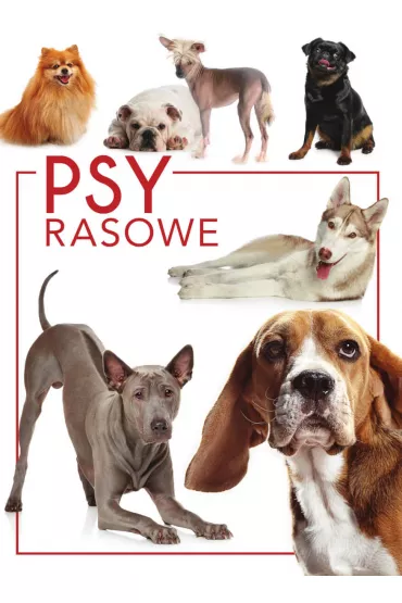Psy rasowe - Izabela Przeczek