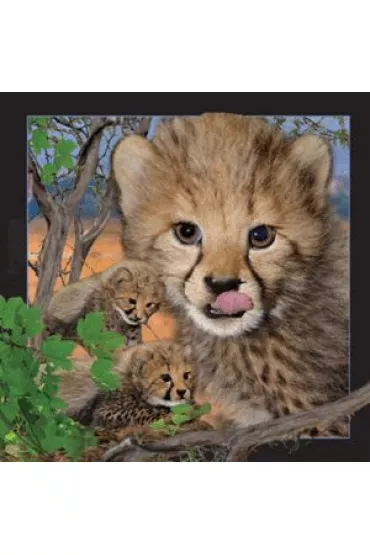 Worth Keeping Magnes 3D Gepard
