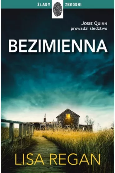 Bezimienna. Josie Quinn. Tom 2 - Lisa Regan