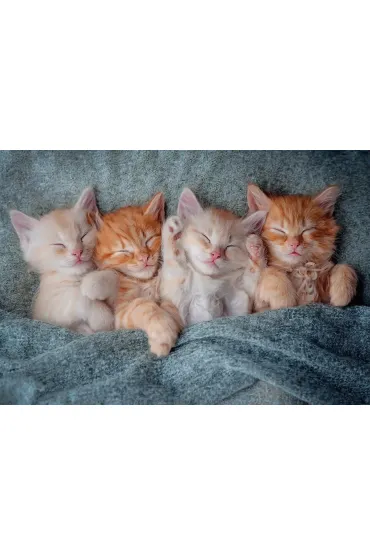 Puzzle 1000 el. The Sweetest Kittens Castorland