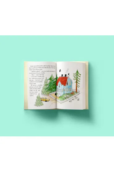 Saga i nocowanka - Josefine Sundstr�m