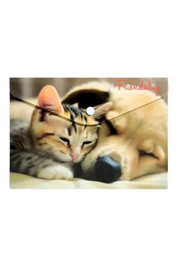 Panta Plast Koperta A5 PP na nap� z nadrukiem Friendship