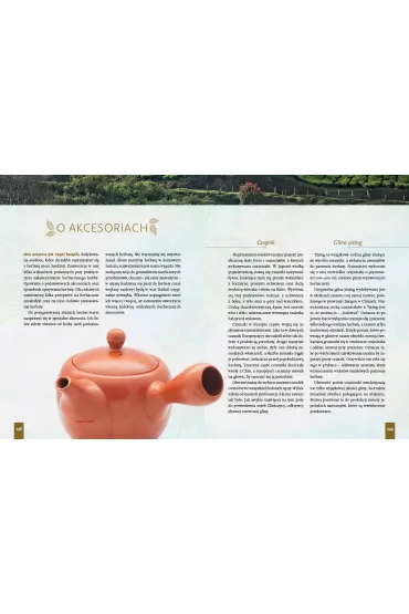 Czajnikowy.pl &ndash; dobra herbata - Rafa� Przybylok