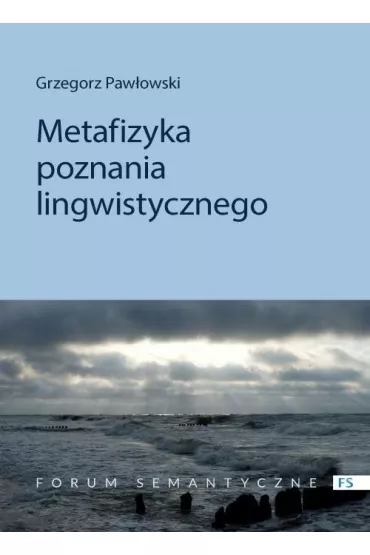 Metafizyka poznania lingwistycznego - Grzegorz Paw�owski