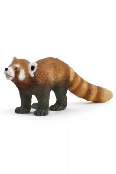 Panda ruda