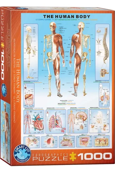 Puzzle 1000 el. The Human Body Eurographics