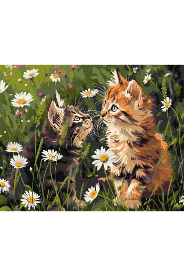 Ideyka Malowanie po numerach - Koty w kwiatach 40x50cm