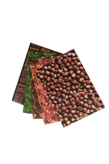 Galeria Hobby Karton Natura 300g, 24x34cm, 5 arkuszy