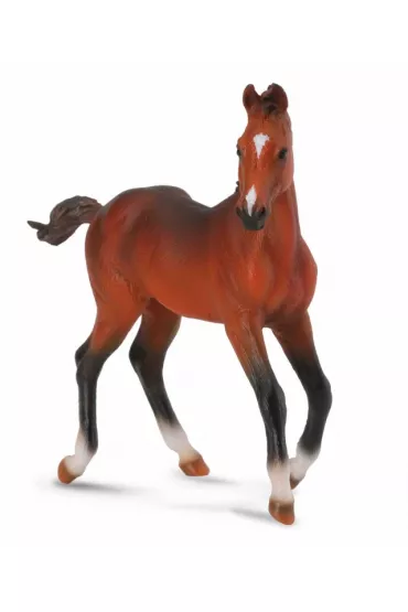 Collecta Ko� �rebi� Rasy Quarter Masci Sorrel Rozmiar M