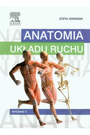 Anatomia uk�adu ruchu - Zofia Ignasiak