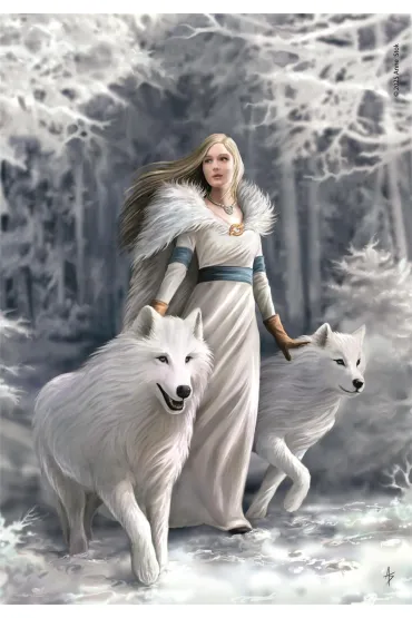 Puzzle 1000 el. Anne Stokes Collection Winter Guardian Clementoni