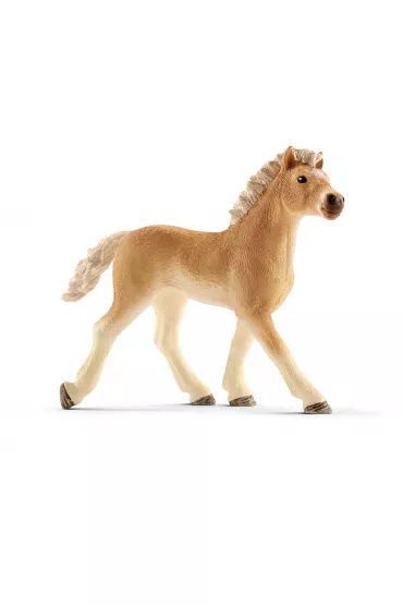 �rebi� rasy Haflinger