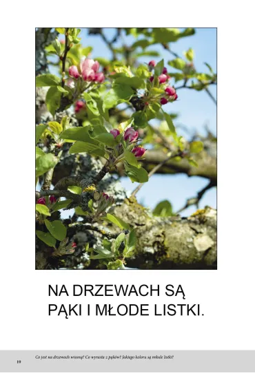 Wiosna. Bardzo proste czytanki dla dzieci - Magdalena Hinz