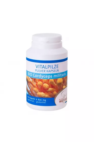 Pilze Wohlrab Grzyby cordyceps militaris (maczu�nik bojowy) (500 mg) Suplement diety 100 kaps. Bio