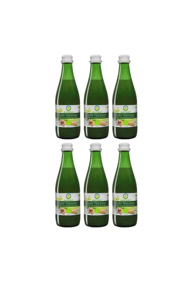 Bio Food Seler naciowy 100% ekologiczny kiszony Zestaw 6 x 300 ml Bio
