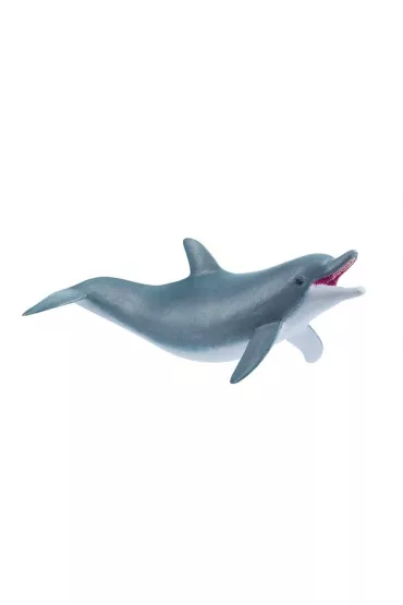 Delfin bawi�cy si�