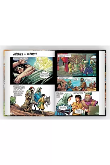 Biblia. Komiks - Sergio Cariello