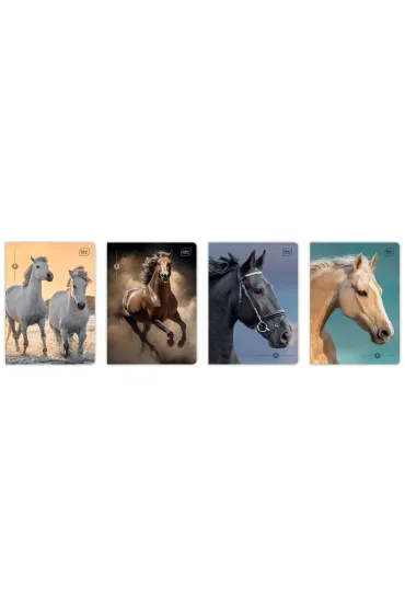 Interdruk Zeszyt A5 Wild Horses kratka, 70g 16 kartek