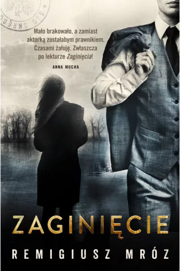 Zaginicie. Joanna Chyka. Tom 2 - Remigiusz Mrz
