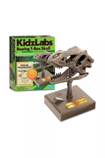 Zestaw edukacyjny. Rycz�ca czaszka T-Rex. 4M