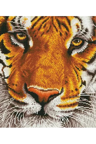 Dante Haft diamentowy - Adults Bengal Magic 44x50cm