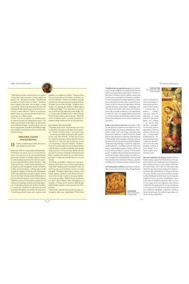 Biblia. Nowy Testament. Tekst – komentarz – ilustracje