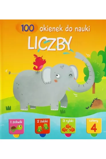 Liczby. 100 okienek do nauki
