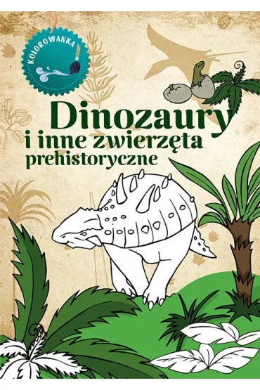 Dinozaury. Kolorowanka - Katarzyna Kopiec-Sekieta