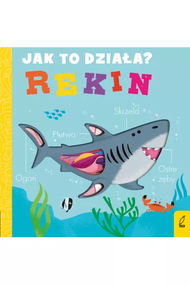 Jak to dzia�a. Rekin - Molly  Littleboy