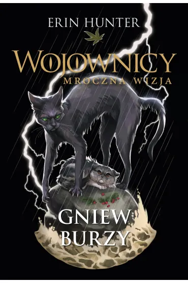 Gniew burzy. Cykl Wojownicy. Mroczna wizja. Tom 6 - Erin Hunter