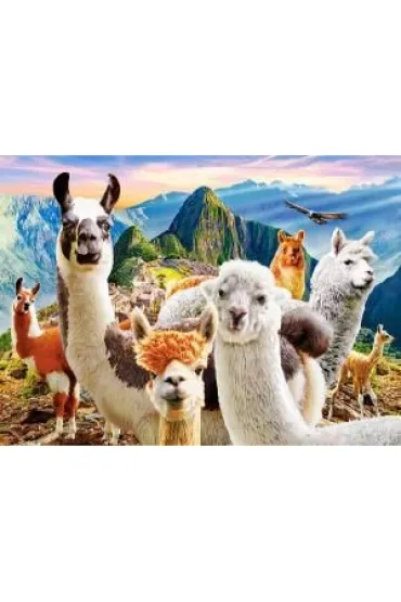 Puzzle 200 el. Llamas Selfie Castorland
