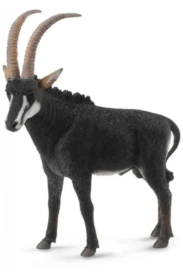 Antylopa olbrzymia - samiec