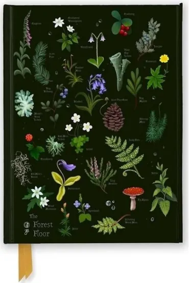 Flame Tree Notatnik A5 linia TW Le�na �ci�ka Anna Stead