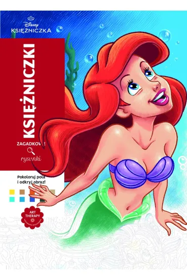 Ksi�niczki Disney. Zagadkowe rysunki. Kolorowanka antystresowa. Art therapy - J�r�my Mariez