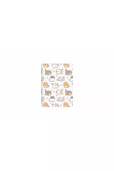 Biurfol Notes A6 kittens kratka