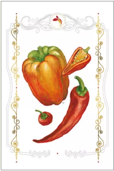 DaVinci Karnet B-BD 502 062 Papryki + koperta 12x18 cm