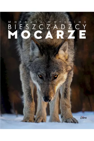 BIESZCZADZCY MOCARZE OK�ADKA Z WILKIEM - Mateusz Matysiak