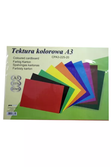 Polsirhurt Tektura A3 kolorowa mix 20 szt