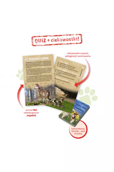 Kapitan Nauka. Quiz. Psy 7+ - Mateusz  K�sy