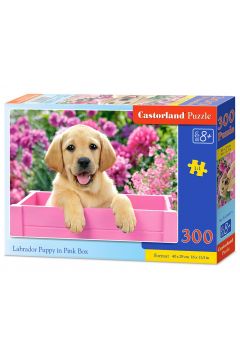 Puzzle 300 el. Labrador puppy in pink box Castorland