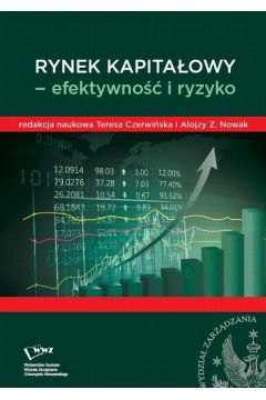 eBook Rynek kapitaowy- efektywno i ryzyko pdf