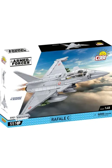 Armed Forces. Dessault Rafale C