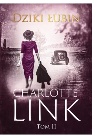 Dziki �ubin. Czas burz. Tom 2 (pocket) - Charlotte Link