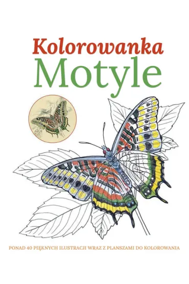 Motyle. Kolorowanka