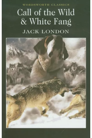 Call of the Wild & White Fang. Wordsworth Classics wer. angielska - Jack London