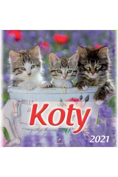 Kalendarz 2021 cienny Koty